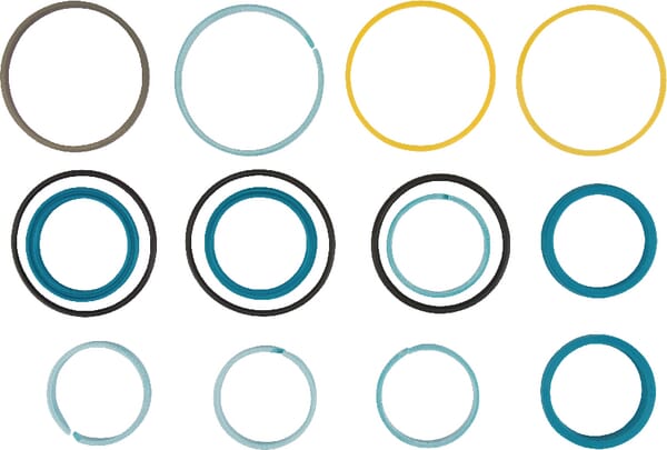 Lenkzylinder Dichtungssatz (G001990011200) von Agco