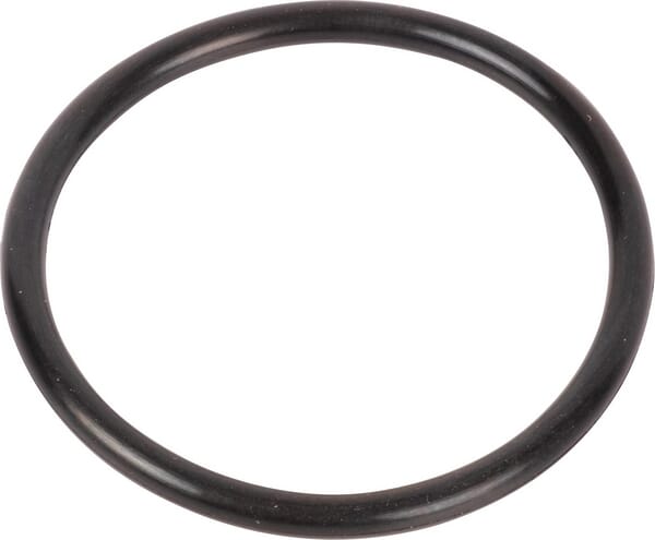 Dichtung (510120FM) von Case IH