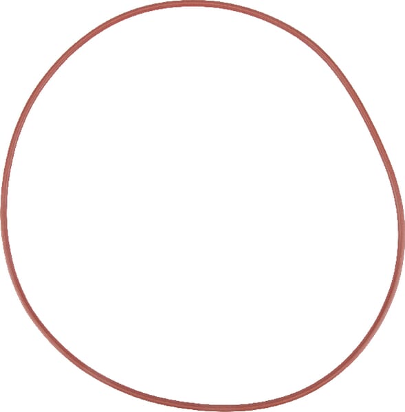 O-Ring (X549036500000) von Agco