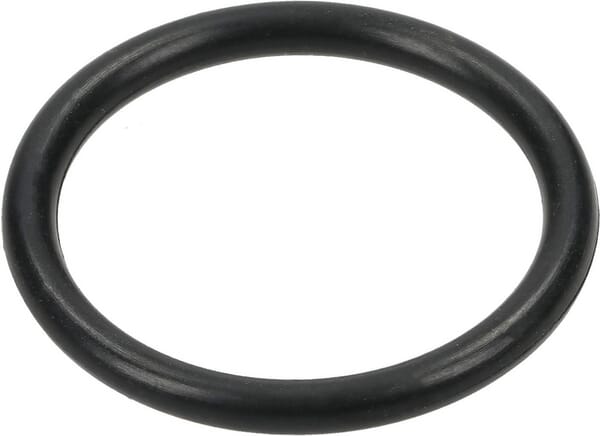 O-Ring 22,22x2,62mm 12100047