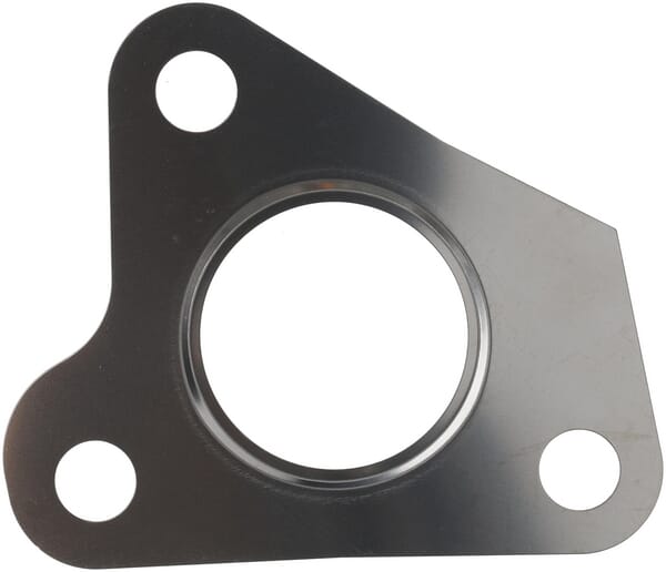 Turboladerdichtung (1000444377) von Weidemann