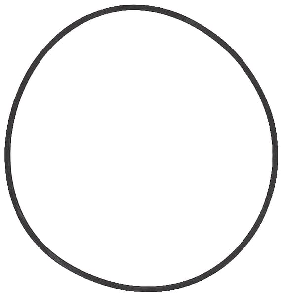 O-RING (1286083C1) von Case IH