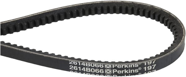 Keilriemen (1000323725) von Weidemann