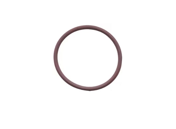 O-Ring (17278981FPT) von New Holland