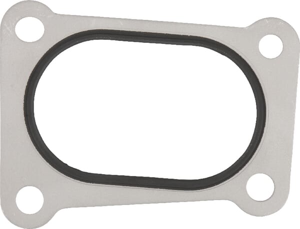 Einlassdichtung (F119200090070) von Agco