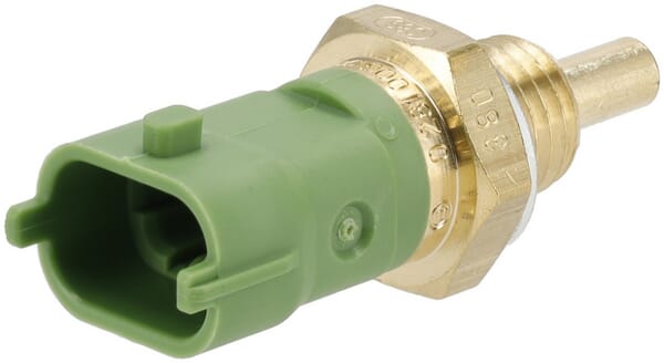 Sensor (1000462100) von Weidemann