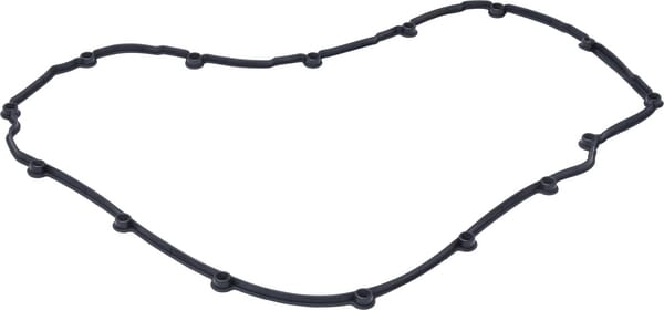 Dichtring (F934201210010) von Agco