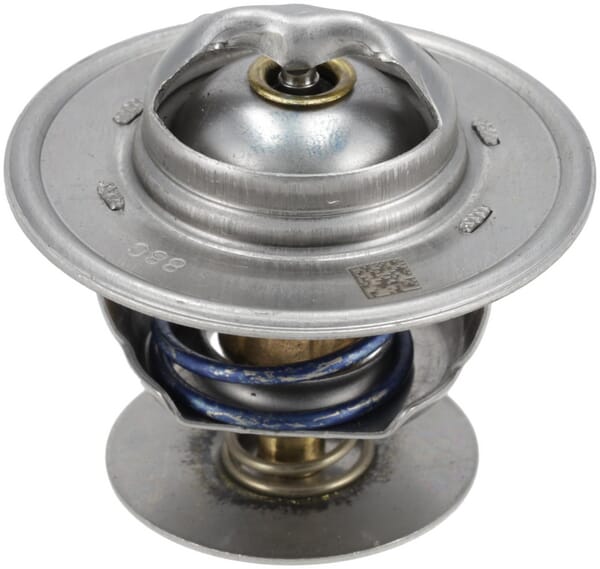 Thermostat (1000364234) von Weidemann