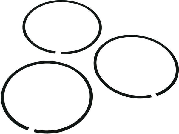 Lamellenring 3x (127333) von Agco