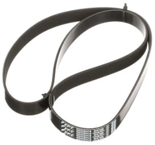 Rippenriemen 8PK1622 MX180/200/220 (5802350478) von Case IH