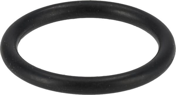 O-Ring (F339860060050) von Agco