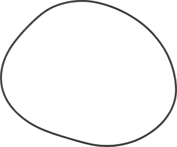 O-Ring (X549040200000) von Agco