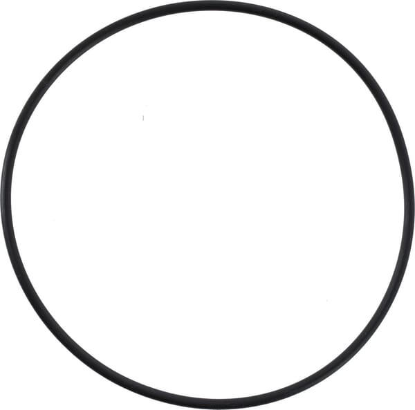 O-Ring (X548989201000) von Agco