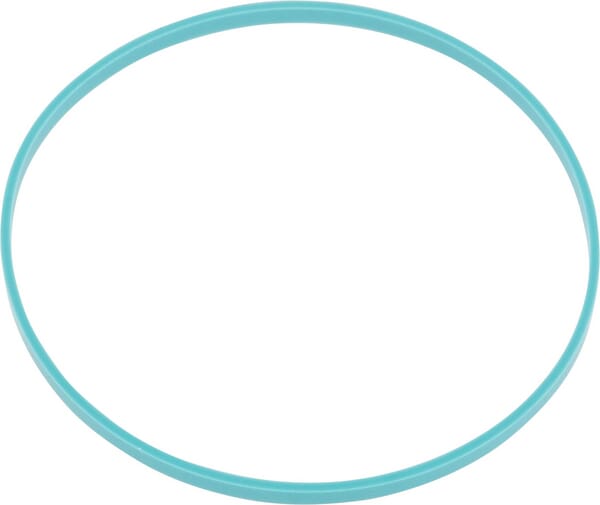 Gleitring (5125640) von New Holland