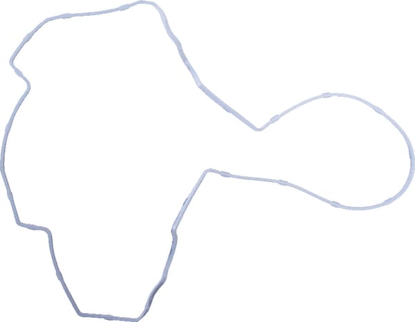 Ventildeckeldichtung (V837073749) von Agco