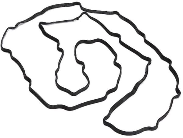 Ventildeckeldichtung  (500309014FPT) von New Holland