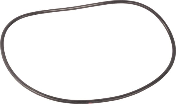 Ring (3384524M1) von Agco