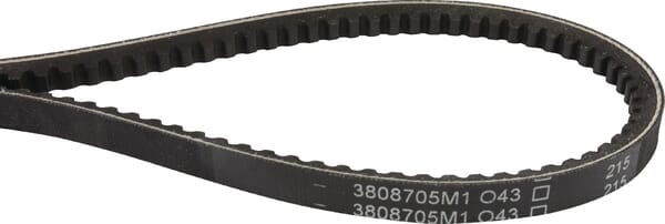 Keilriemen (3808705M1) von Agco