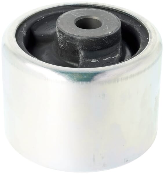 Federelement (H816500200160) von Agco