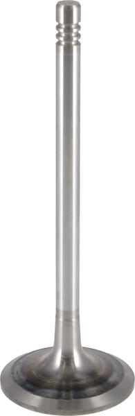 Einlassventil von Deutz 04612319