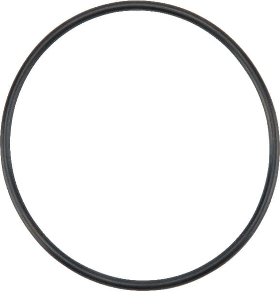 Dichtung Kraftstoffpumpe (4222834M1) von Agco