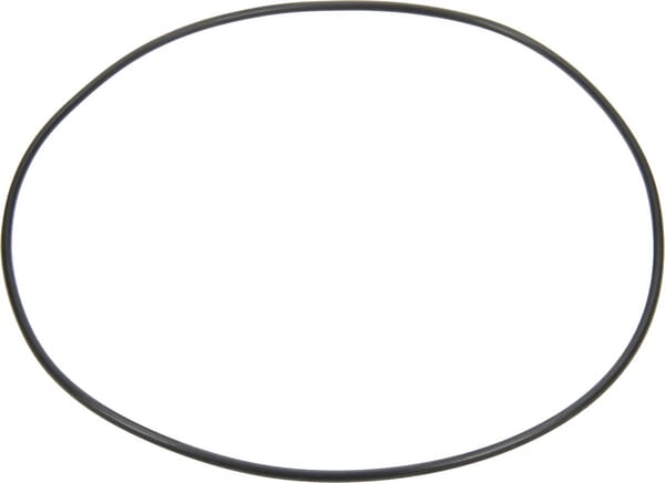 O-Ring 12100389