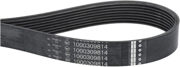 Keilriemen (1000309814) von Weidemann