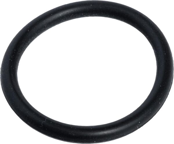 O-Ring (X548840101000) von Agco