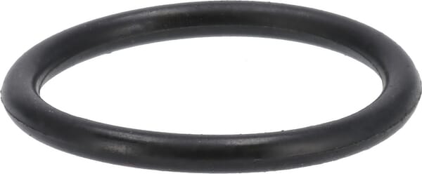 O-Dichtung von Deutz 04128278