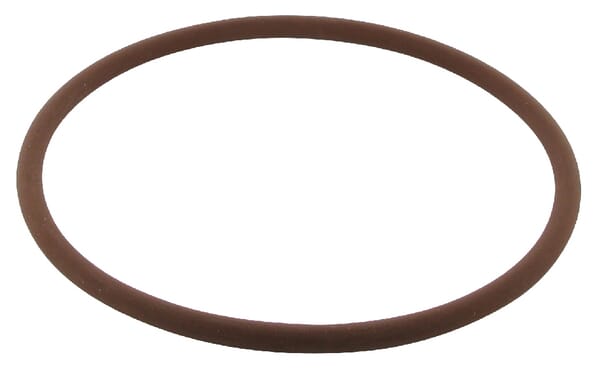 O-Ring Bremse Hinterachse (3230854R1) von Case IH