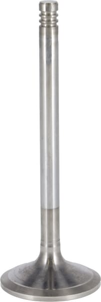 Einlassventil von Deutz 04290056