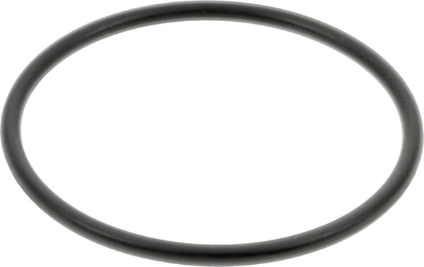 O-Ring (9820460) von Case IH