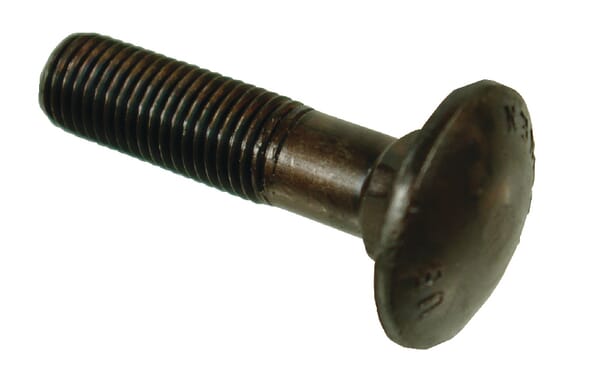 Flachrundchraube M16x70 3012261