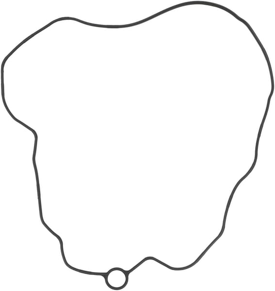 Ventildeckeldichtung (1000450149) von Weidemann