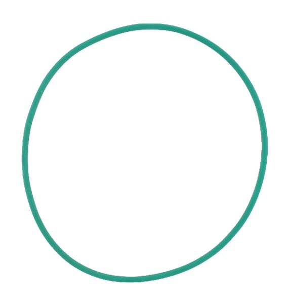 O-Ring (X548989200000) von Agco