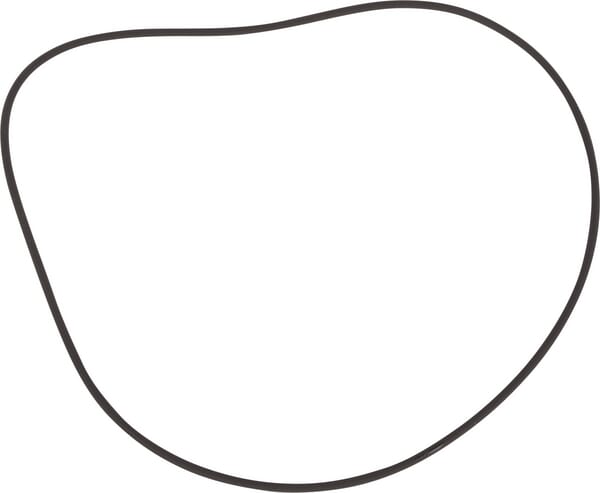 Ring (7700047393) von Claas