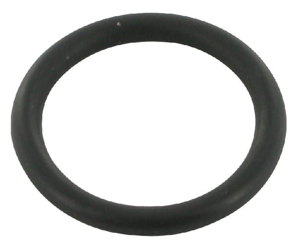 O-Ring Handbremswelle Case-IH (3058327R1) von Case IH