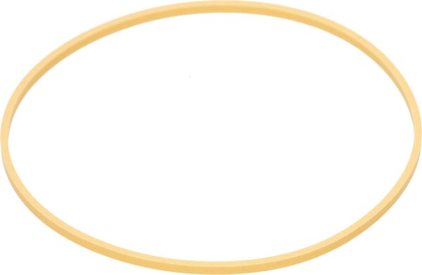 Sicherungsring (92561C1) von Case IH