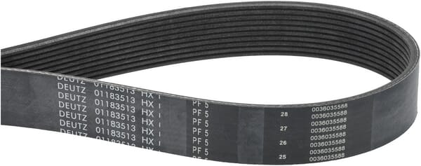 Keilrippenriemen (F737200040010) von Agco