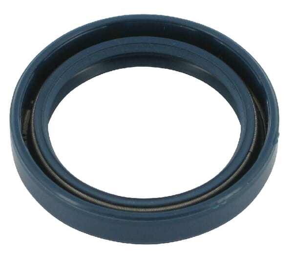 Wellendichtr. Differentialsperrenbedienung Case - IH (3145060R91) von Case IH