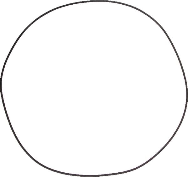 Spicer Dana O-Ring 001053338