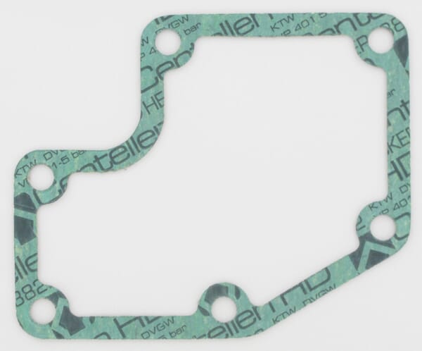 Gehäusedichtung Wasserpumpe (F139207210051) von Agco