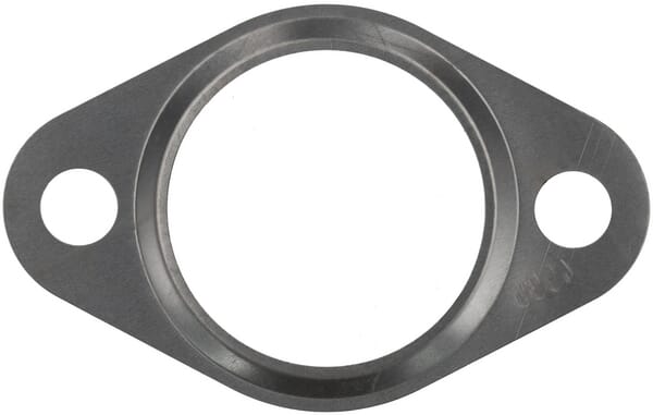 Dichtring (F339202100030) von Agco