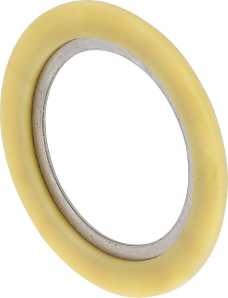 Dichtring (F275300060040) von Agco