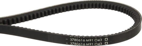 Keilriemen (3780616M91) von Agco