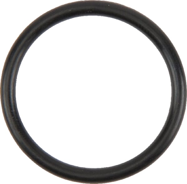 O-Ring (VKH4131) von Agco