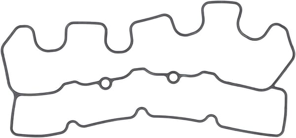 Ventildeckeldichtung (1000244951) von Weidemann