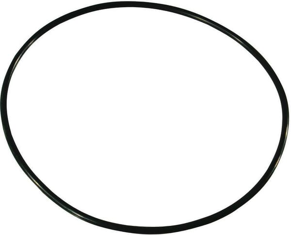 O-Ring (127004) von Agco