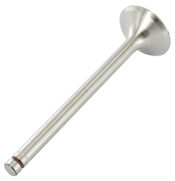 Einlaßventil Case - IH (3055055R2) von Case IH