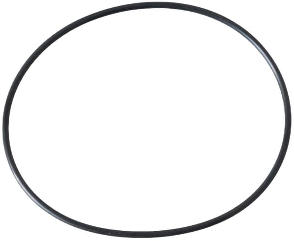 O-Ring (3715773M1) von Agco